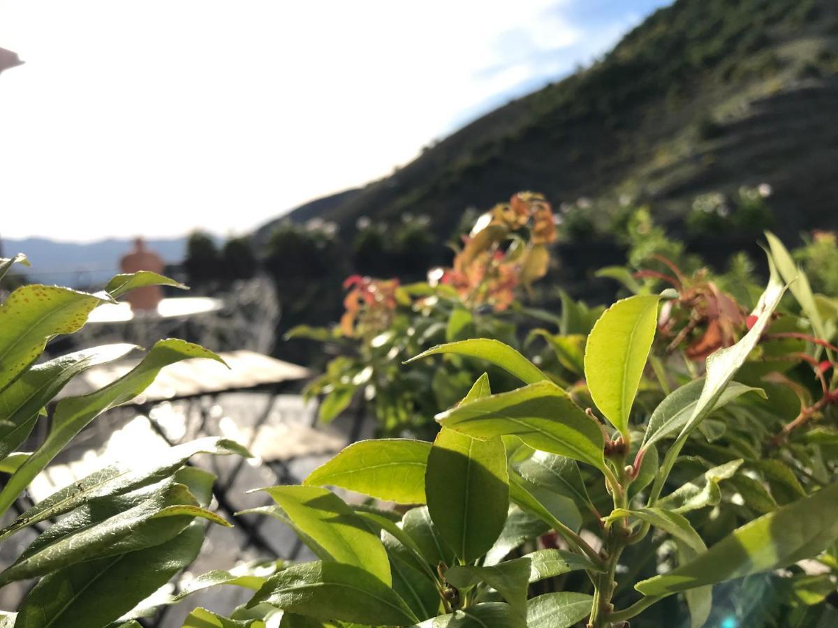 Borgo Manca Suite Sasso di Castalda Exteriör bild